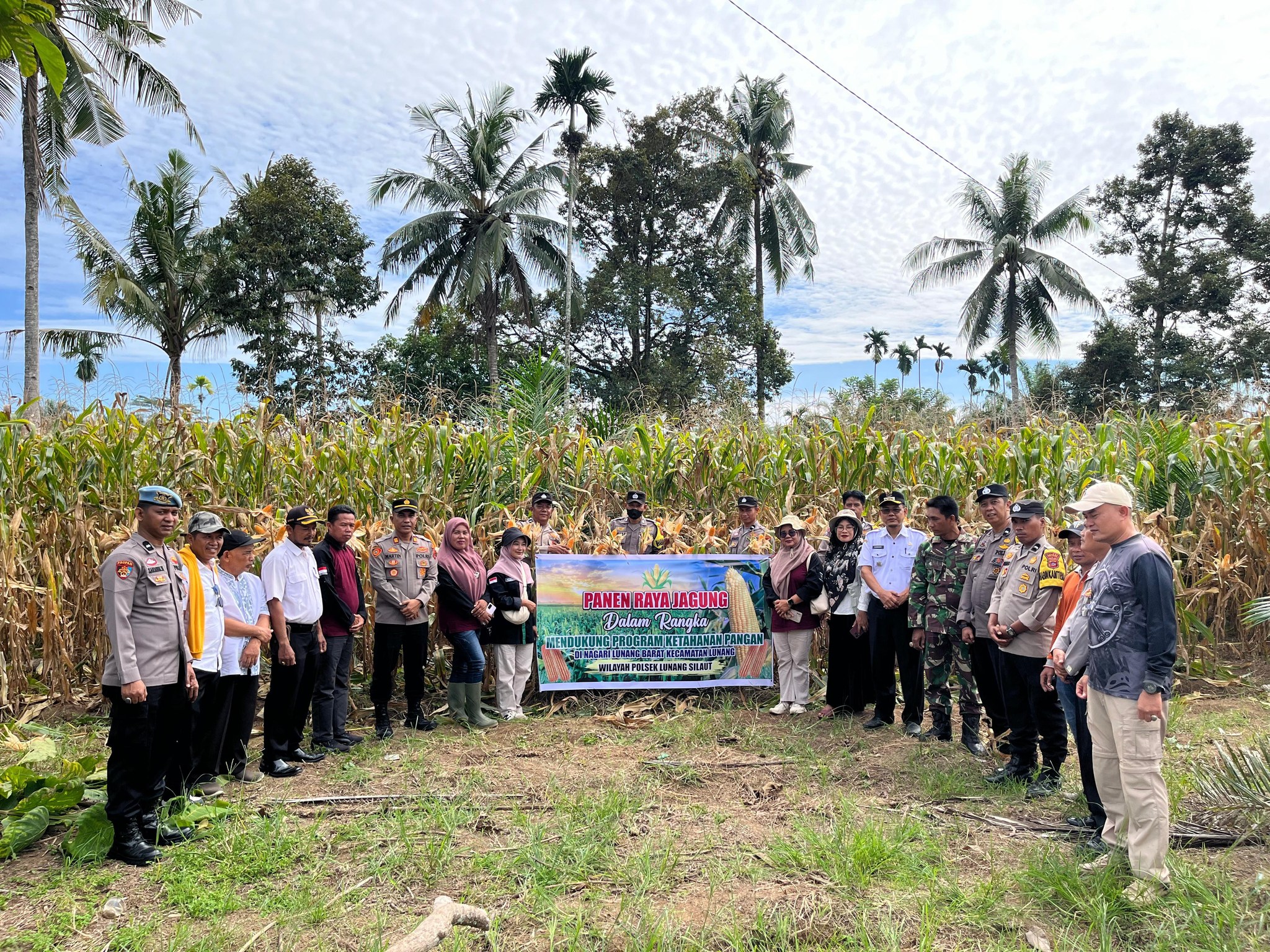 PANEN RAYA JAGUNG DI NAGARI LUNANG BARAT: DUKUNG KETAHANAN PANGAN DI KECAMATAN LUNANG